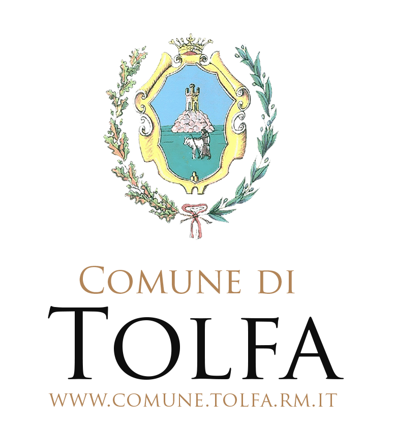 Comune Partner